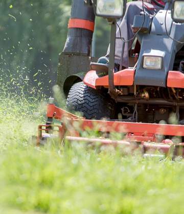 Entreprise de nettoyage et de paysagisme à Saint-Romain-le-Noble